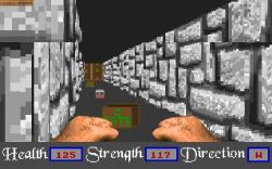 Obrazek z gry Master Won Liu 3-D