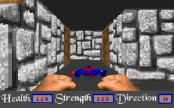 Obrazek z gry Master Won Liu 3-D