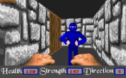 Obrazek z gry Master Won Liu 3-D