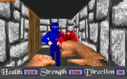 Obrazek z gry Master Won Liu 3-D