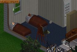 Obrazek z gry The Sims