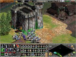 Obrazek z gry Age of Empires II: The Age of Kings