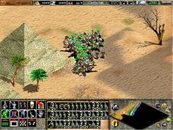 Obrazek z gry Age of Empires II: The Age of Kings