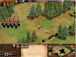 Age of Empires II: The Age of Kings:  
