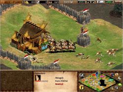 Age of Empires II: The Age of Kings:  