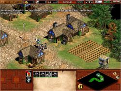 Obrazek z gry Age of Empires II: The Age of Kings