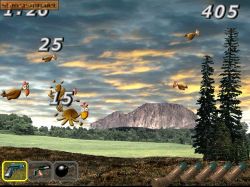 Screen - Kurka Wodna