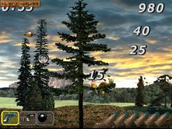 Screen - Kurka Wodna