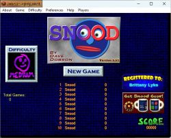 Snood:  