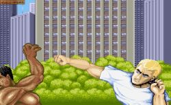 Obrazek z gry Street Fighter II
