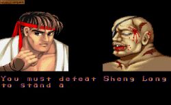Street Fighter II:  