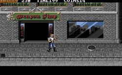 Obrazek z gry Double Dragon 3: The Rosetta Stone