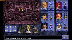 Obrazek z gry Eye Of The Beholder