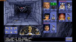 Obrazek z gry Eye Of The Beholder