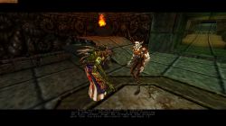 Obrazek z gry Heretic II