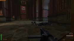 Obrazek z gry Return to Castle Wolfenstein