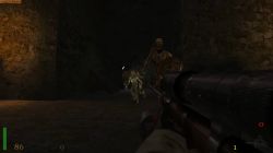 Obrazek z gry Return to Castle Wolfenstein
