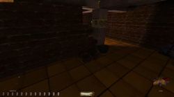 Obrazek z gry Thief: The Dark Project
