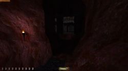 Obrazek z gry Thief: The Dark Project