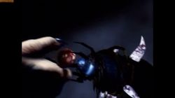 Obrazek z gry Thief: The Dark Project