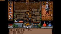 Obrazek z gry Ultima Underworld: The Stygian Abyss