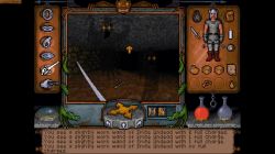 Obrazek z gry Ultima Underworld: The Stygian Abyss