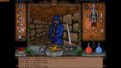 Obrazek z gry Ultima Underworld: The Stygian Abyss