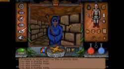 Obrazek z gry Ultima Underworld: The Stygian Abyss