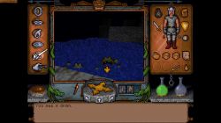 Obrazek z gry Ultima Underworld: The Stygian Abyss