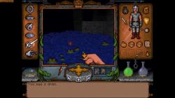Obrazek z gry Ultima Underworld: The Stygian Abyss