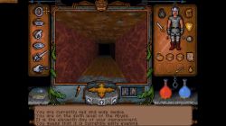 Obrazek z gry Ultima Underworld: The Stygian Abyss