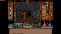 Obrazek z gry Ultima Underworld: The Stygian Abyss