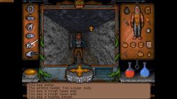 Obrazek z gry Ultima Underworld: The Stygian Abyss