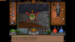 Obrazek z gry Ultima Underworld: The Stygian Abyss