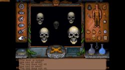 Obrazek z gry Ultima Underworld: The Stygian Abyss