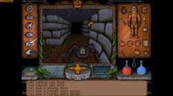 Obrazek z gry Ultima Underworld: The Stygian Abyss