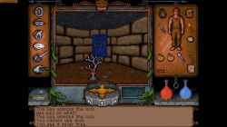Obrazek z gry Ultima Underworld: The Stygian Abyss