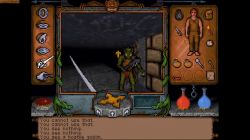 Obrazek z gry Ultima Underworld: The Stygian Abyss