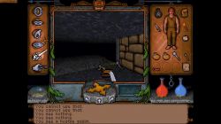 Obrazek z gry Ultima Underworld: The Stygian Abyss