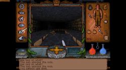 Ultima Underworld: The Stygian Abyss:  