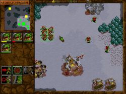 Obrazek z gry Warcraft II: Tides of Darkness