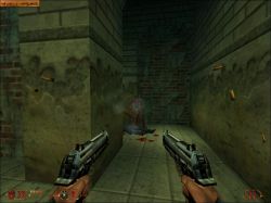 Obrazek z gry Blood II: The Chosen