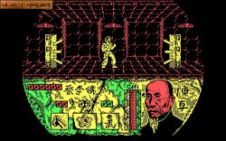 Choy Lee Fut Kung Fu Warrior:  