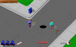 Rollerblade Racer:  