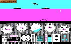Solo Flight:  