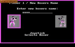 Star Rank Boxing II:  