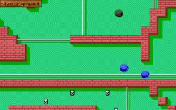 Street Ball:  