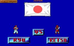 Street Fighter:  