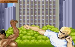 Obrazek z gry Street Fighter II