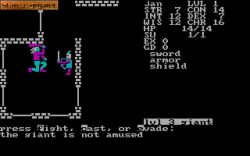 Screen gry Telengard: 